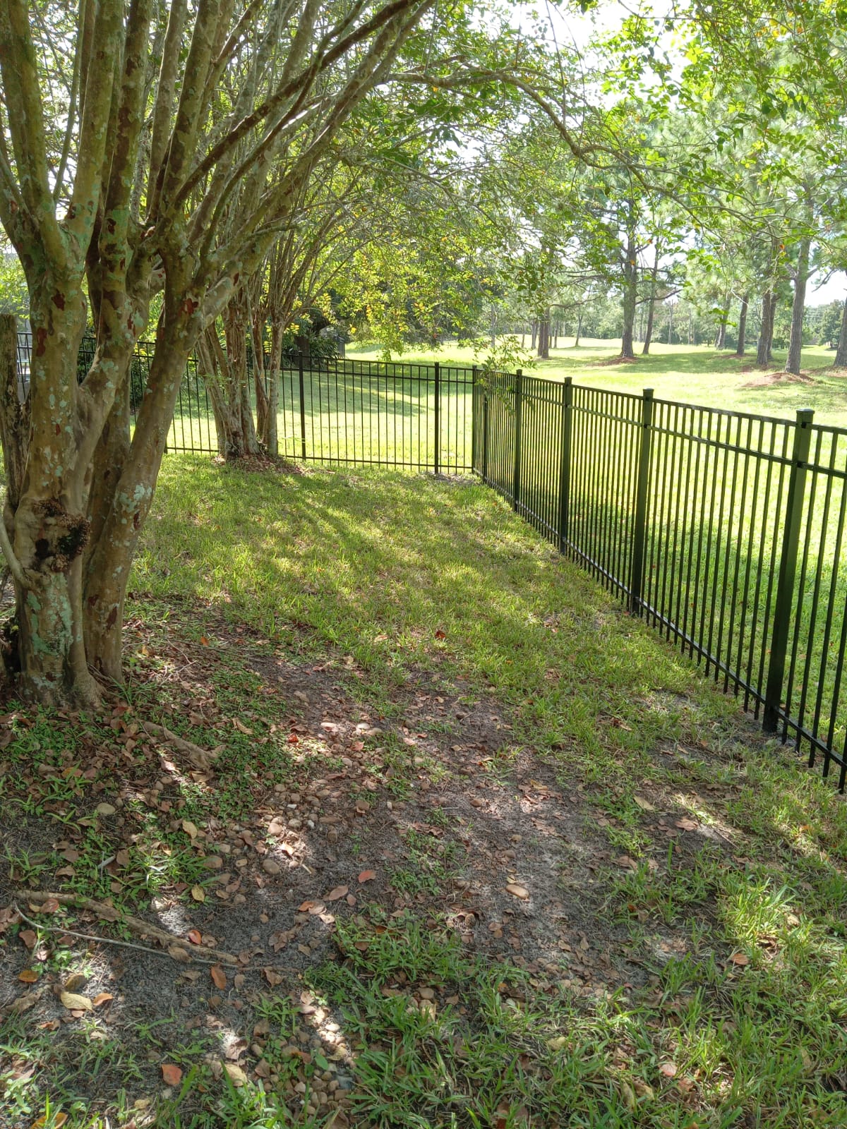d62368fe-cfb0-4825-81dd-b2368e3f6200 d62368fe cfb0 4825 81dd b2368e3f6200 Aluminum Fencing