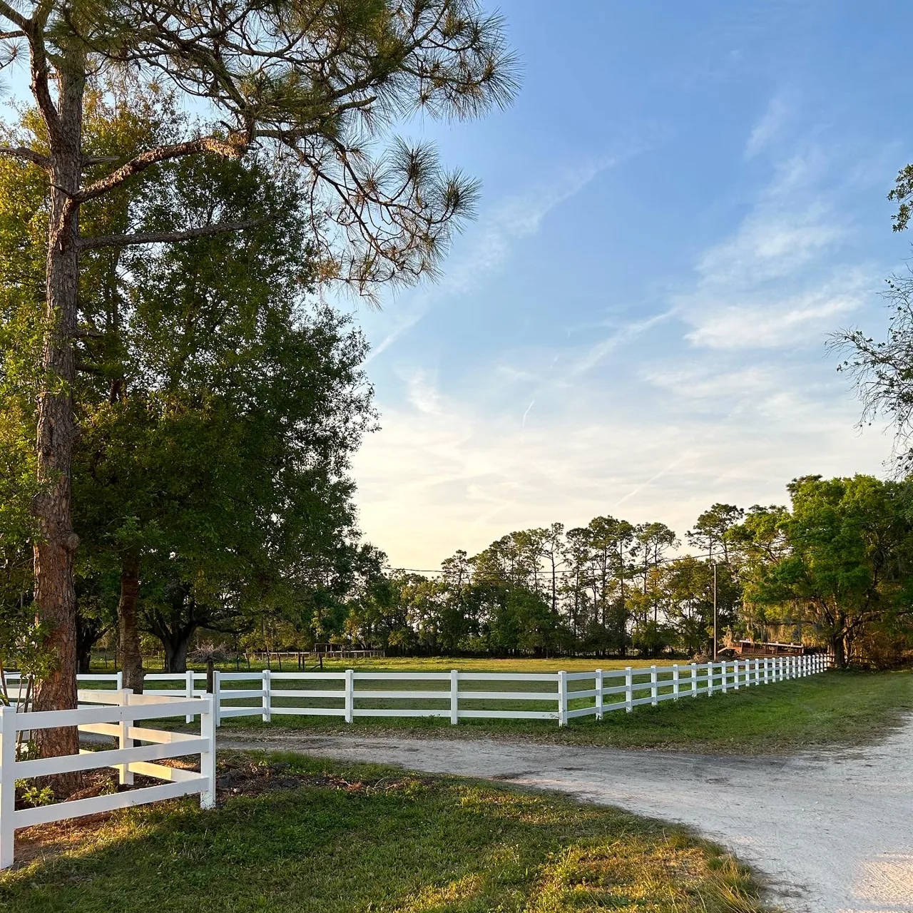 White Ranch Rail