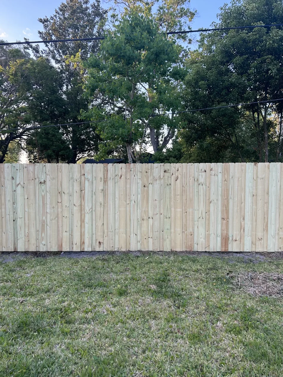 Natural wood Wood fence