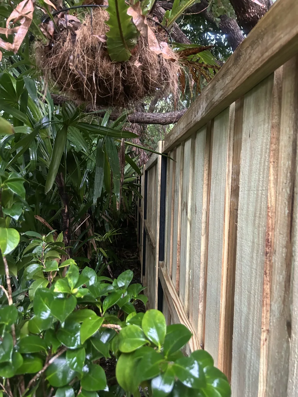 Natural wood Fence and post detail
