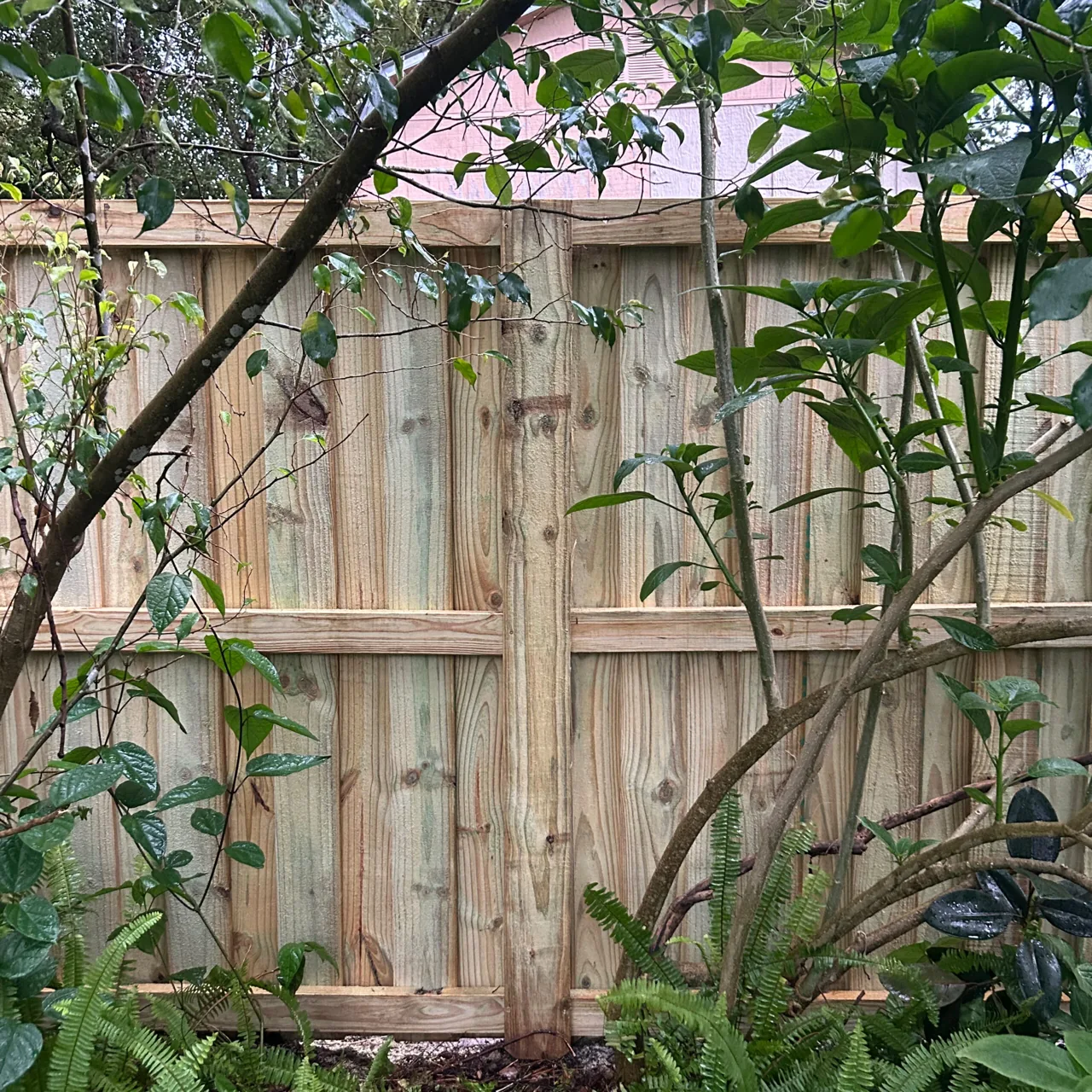 Natural wood Fence and post detail
